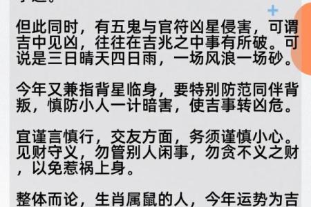 2025年蛇年属鼠人的财运和事业运具体分析