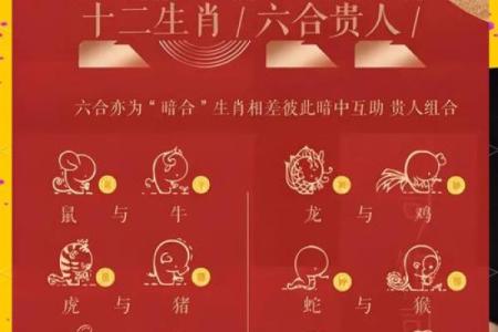 属蛇的人与哪些生肖配对在婚姻中最幸福美满