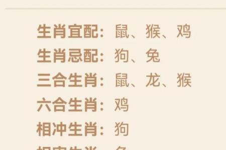 龙和猴的属相婚配是否合适？解析配对优缺点