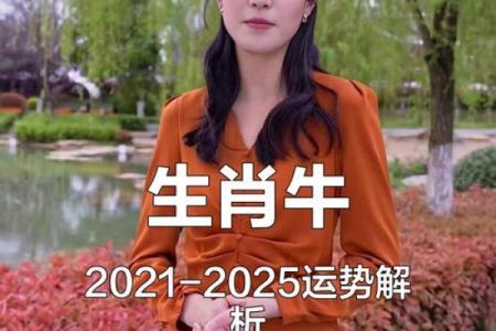 1997年出生的牛2025年本命年婚姻运势好不好会顺利吗