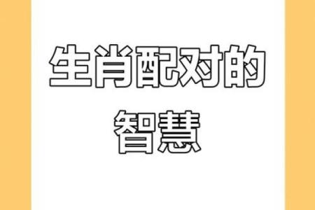 兔和蛇属相婚配是否合适？解析传统生肖配对中的相合与相冲