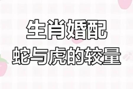 男虎女蛇结婚真的会相克吗？从生肖配对看婚姻结局