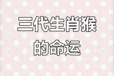 男蛇女猴结婚后会面临哪些性格和运势方面的挑战？