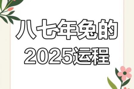 1987年属兔的人在哪一年离婚的概率最高，如何避免？