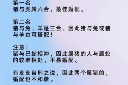 97年属牛和95年属猪婚配真的不好吗？有什么说法和依据