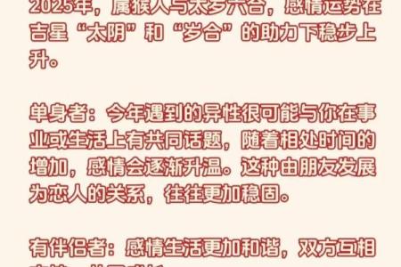 2025年属兔的单身人士如何避免烂桃花干扰找到真爱？