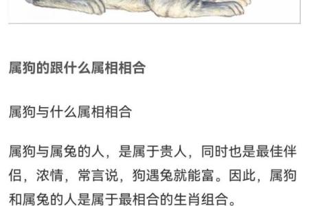 狗和牛的属相婚配是否合适，两人在一起会幸福吗？