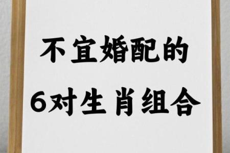 属龙和哪些生肖结婚会容易导致婚姻不顺利