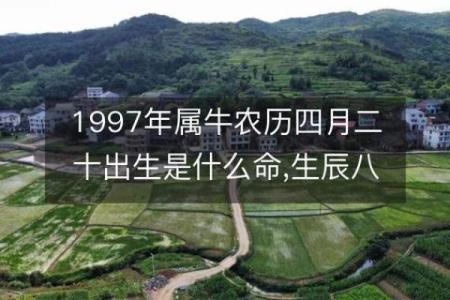 97年属牛男的正缘桃花年份通常在什么时候出现？