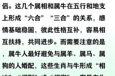 97年不能找的生肖 97年的生肖是