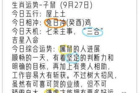 属鼠人2025年财运事业健康感情全方位运势解析