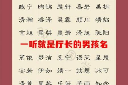 2025年属蛇男孩取名最佳用字推荐与寓意解析