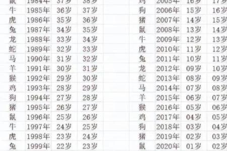 1907年属什么(1907年属什么今年多大了)