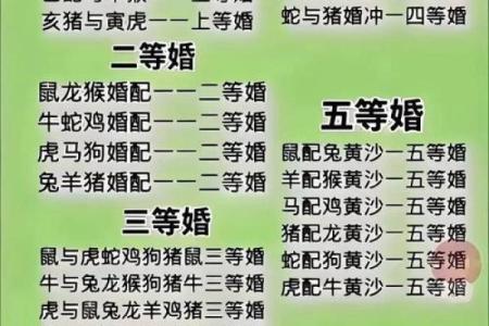 男鼠女狗婚配是否相合？从生肖角度解析婚姻幸福度