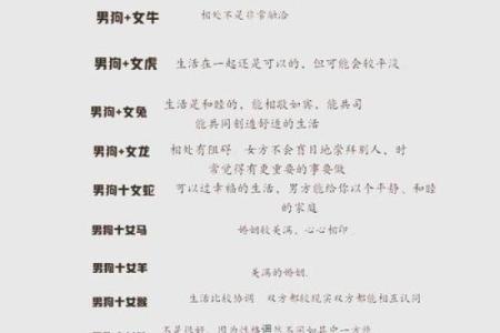 男狗女鼠生肖配对婚姻是否幸福长久需要注意哪些问题