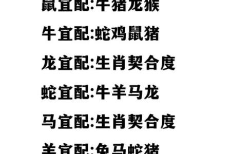 属蛇和属马的人结婚好吗？从性格和生肖配对角度分析婚姻契合度