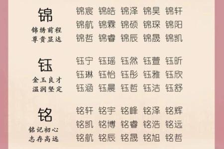 2025年蛇年男宝宝起名宜用什么字，哪些字最吉利有福气？