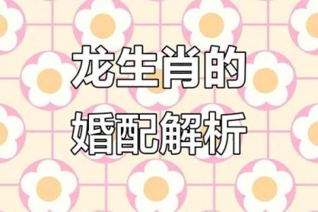 2000年属龙女生最佳婚配生肖配对详细解析