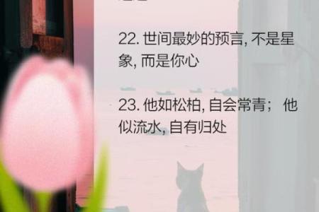 算命顺口溜100条