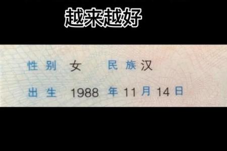 1988年出生的龙女今年感情运程详解，正缘何时出现？