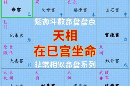 元亨紫薇排盘(元亨紫薇命盘)