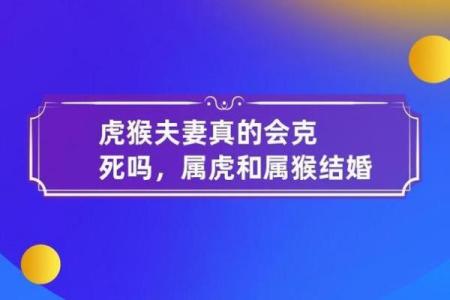 属虎的男性与什么生肖的女性结婚最幸福长久