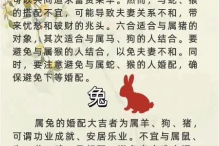 属牛和属龙的婚姻配对是否合适，会有哪些优缺点？