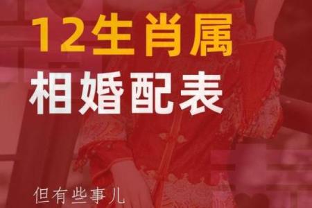 男龙和女蛇的婚姻是否长久？从性格角度分析契合度