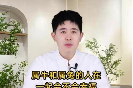 属牛和属兔的生肖组合在事业合作上能否互相促进？