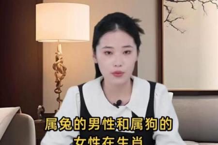 属狗和属兔的生肖配对指数高吗？婚姻感情运势解析