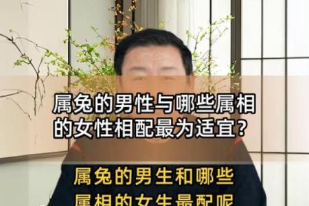 属兔男人最适合与哪些生肖女性结婚共度一生