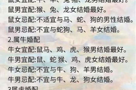1987年兔男与1984年鼠女的婚姻配对运势详解