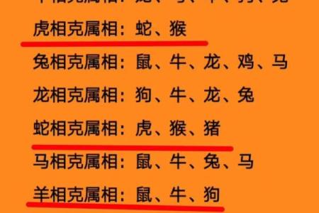 属兔的女孩和什么属相最配婚姻，属兔女最佳婚配属相推荐