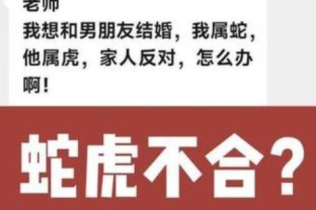 从生肖命理看属虎和属蛇的婚姻配对如何，需要注意哪些方面？