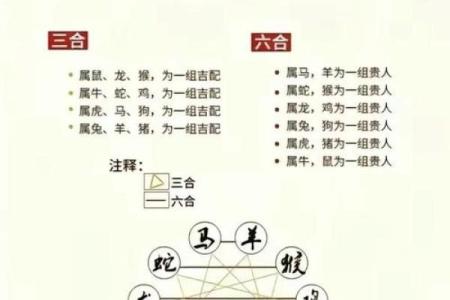 从生肖角度分析，属牛和属兔的人在事业上合作能否共赢？