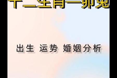 属兔的婚姻配对中哪个生肖最能带来好运和幸福