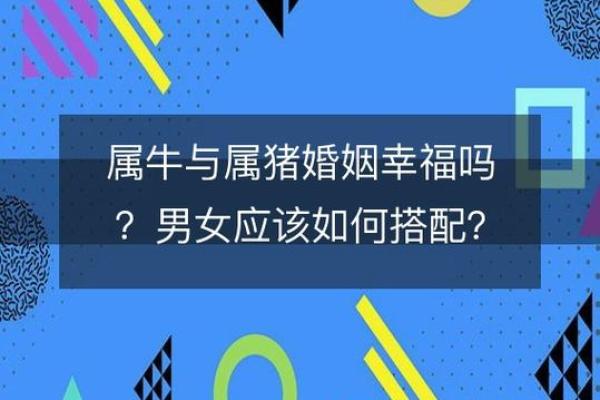 从性格角度分析属牛女人应该找什么样丈夫才能幸福长久？