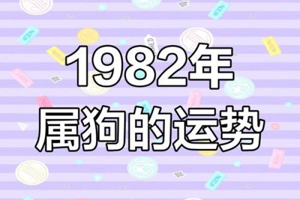 1982年属狗人2025年每月运势详解及得把眼睛擦亮了
