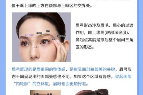 眉峰处眉毛的那个位置是什么 眉峰位置在哪里