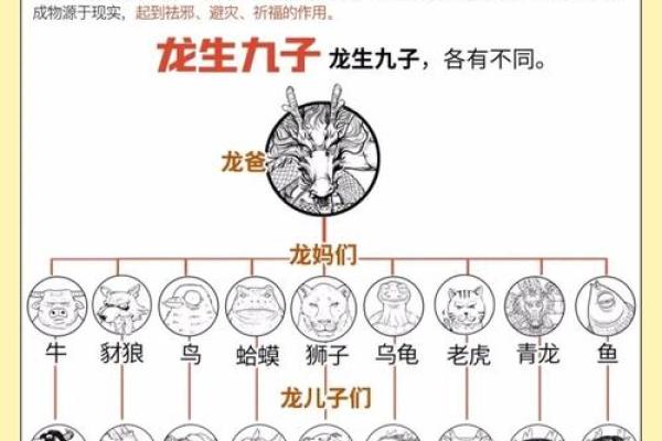 鸡与龙的属相合不合 龙和鸡是相冲还是相克