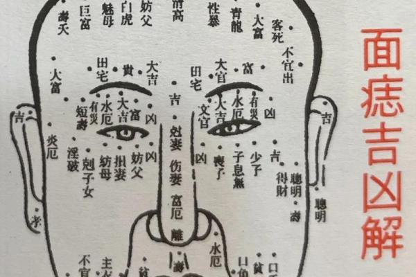 男人面相算命(男人面相痣大全图解)