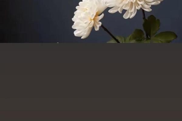 生日哭了是不是不吉利 生日哭会不会不吉利