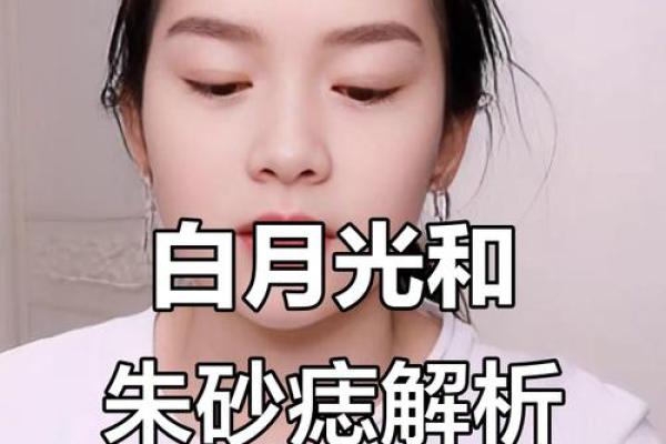 白月光与朱砂痣是什么意思,代表了什么人 白月光与朱砂痣是什么意思,代表了什么人物形象