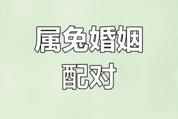 属鼠的人和属兔的人在婚姻中配对真的合适吗？