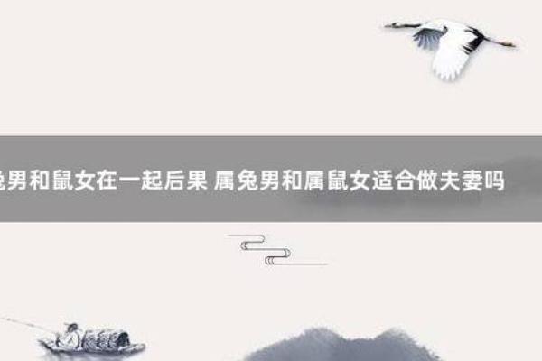 属鼠的人和属兔的人在婚姻中配对真的合适吗？