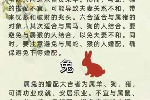 属虎女的最佳婚配生肖有哪些具体配对建议