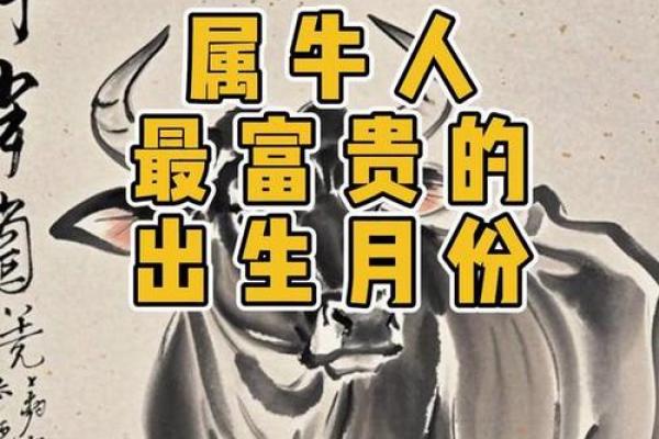 几月出生属牛富贵一生 几月份的牛比较有福气