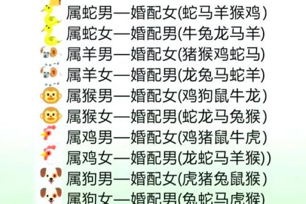 属龙人婚配生肖最佳选择有哪些详细解析