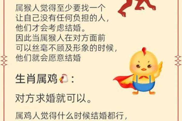 属龙人婚配生肖最佳选择有哪些详细解析