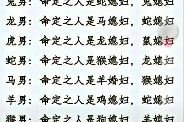 男兔女蛇结合后的婚姻运势如何？详细解读性格与命运